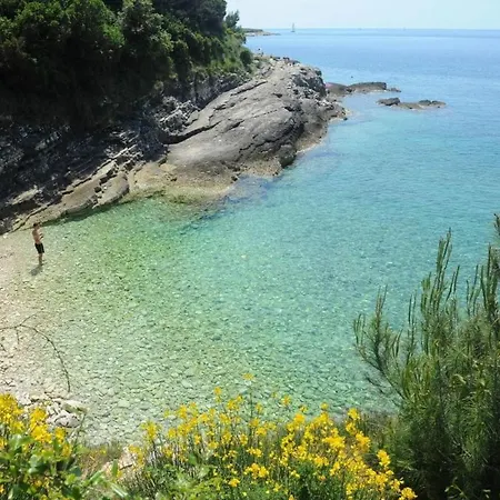 Apartman Maria Flavia Banjole